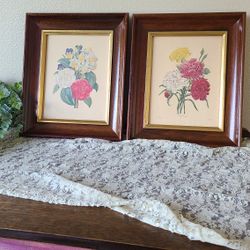 Two Botanical Prints In Vintage Frames