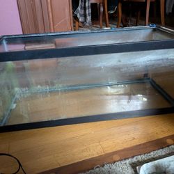 20 Gallon Long Aquarium Or Reptile Enclosure (No Lid)