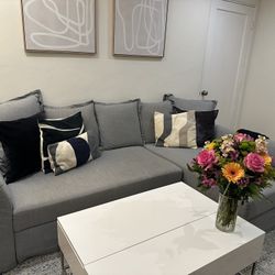 IKEA Holmsund Sleeper Sofa