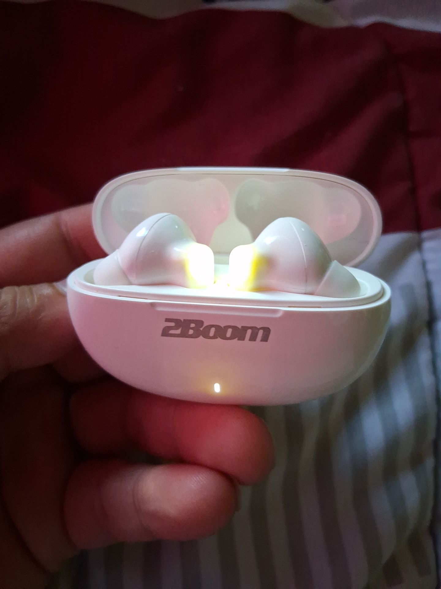 2Boom Wireless Earphones with charging case