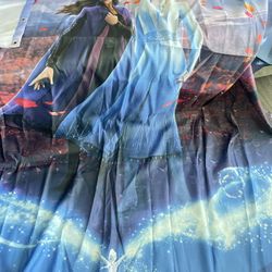 Frozen Curtain