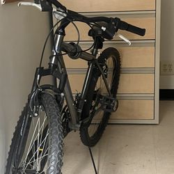 Mountain Bicycle