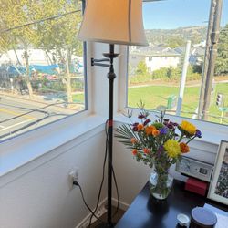 Bronze Swing Arm Floor Lamp