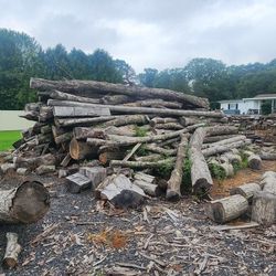 Tri Axle And a Half Of Logs
