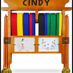 Martial Arts Belt Display Case
