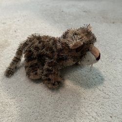 Webkinz Leopard 