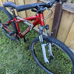 Super Clean! GIANT Mountain Bike 26” Wheels