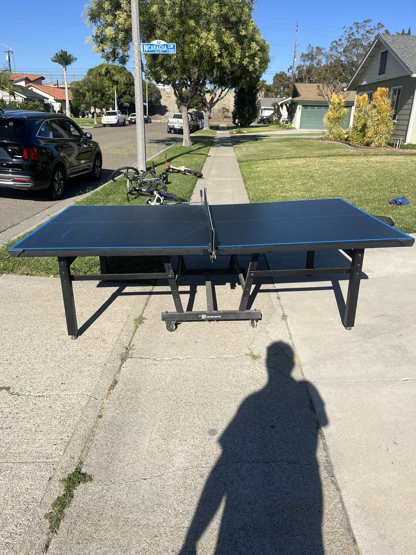 Ping Pong Table