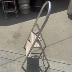Folding 2 step stool ladder