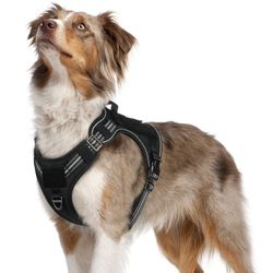 Medium Dog Harness 