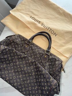 LV Speedy 25 limited edition