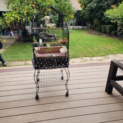 Bird Cage With Rolling Stand
