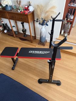 Fold Out Workout Bench