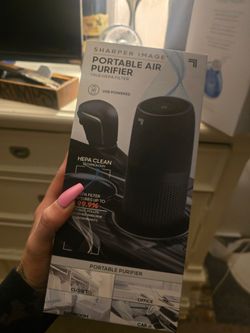 Car air purifier
