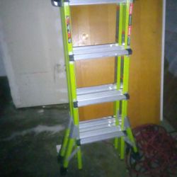 Little Giant Dark Horse Ladder