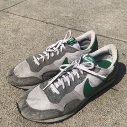 Nike Air Pegasus Size 11