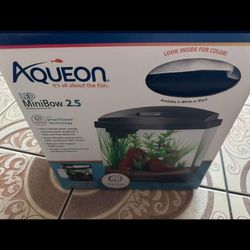 Small Filtered Fish Tank 