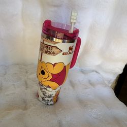 Winnie The Pooh Stanley 