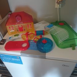 Guinea Pig Accessories