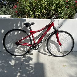 12 Speed GT Nomad Bike