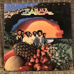 Karma Vinyl Record