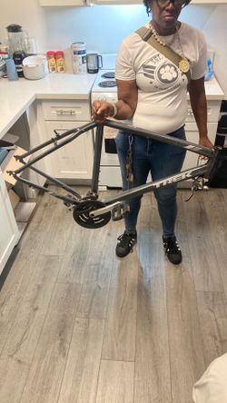 Trek bike frame