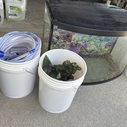 Fish tank with supplies