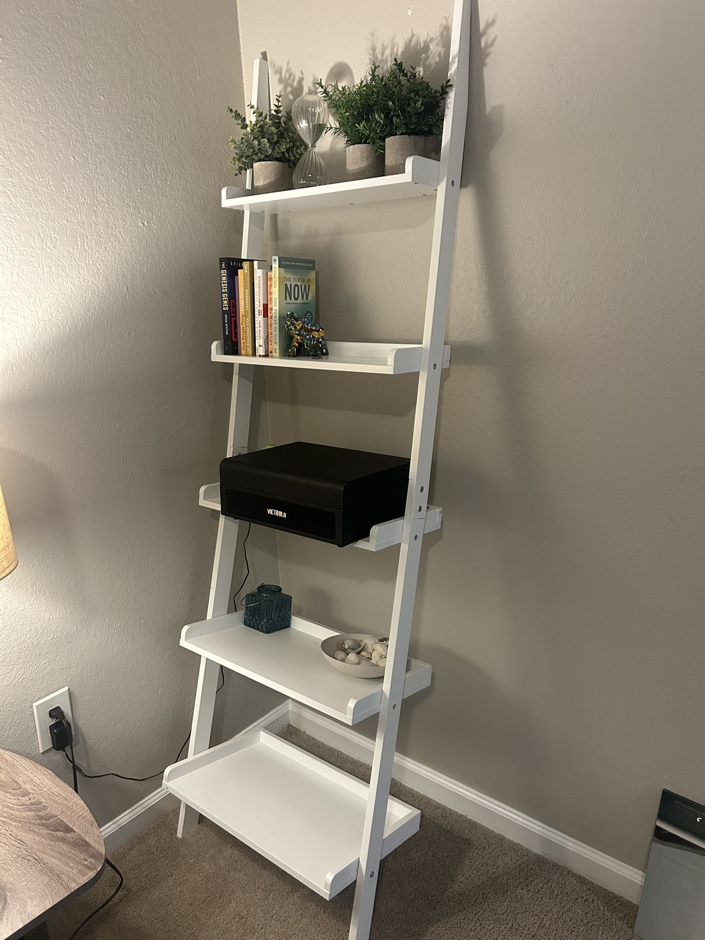 Ladder Bookcase 5-Tier Wood Leaning Shelf Wall Ladder