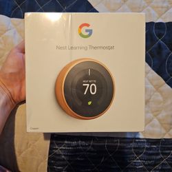 Google Nest Learning Thermostat