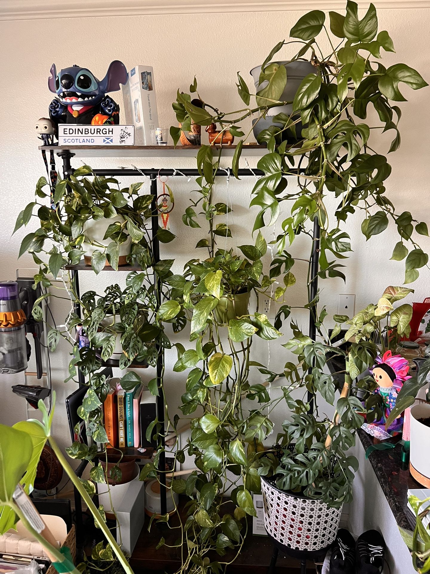 Clothes Rack/ Plant Stand