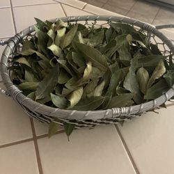 Hojas De Laurel Organico (Organic Laurel leaf)