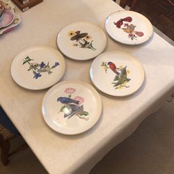 Set Of Nine Syracuse AMERICAN SONG BIRDS Dinner Plates