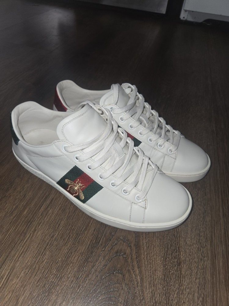 Gucci Ace