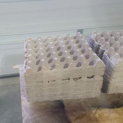 20 COUNT EGG CARTONS FOR AGRICULTURAL PURPOSES HOLDS 30 