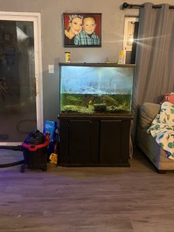 Fish tank Fish tank