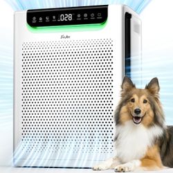 Air Purifiers for Home Large Room