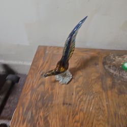 Glass Pheasant