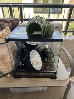 Reptile Decor And Supplies