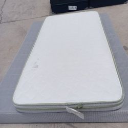 Twin Mattress Only 