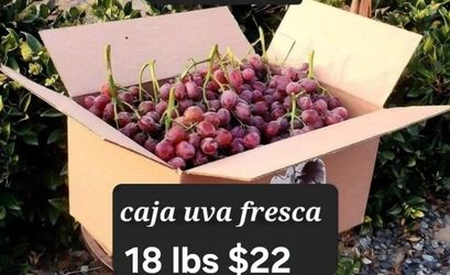 Caja De Uva Fresca En( Lindsay)