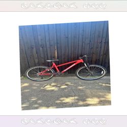 Adult Bicycle Comfortable Ride for Everyday Trips early stuff
