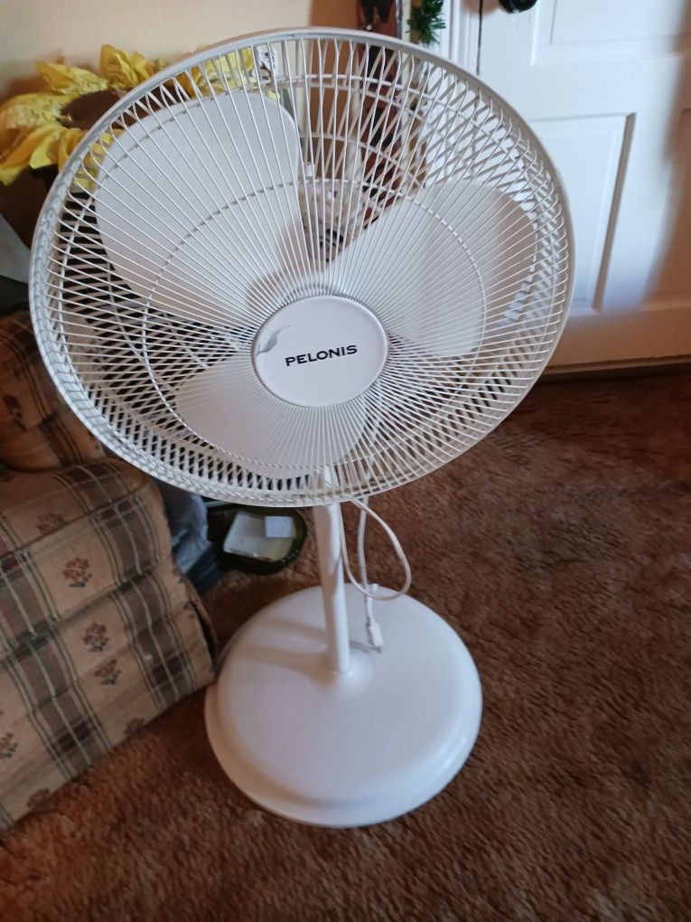 Fan