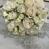 Armine