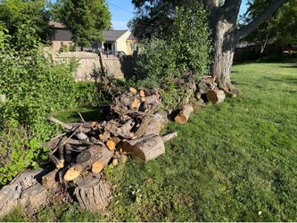 Free firewood