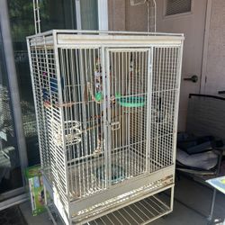 Parrot Cage