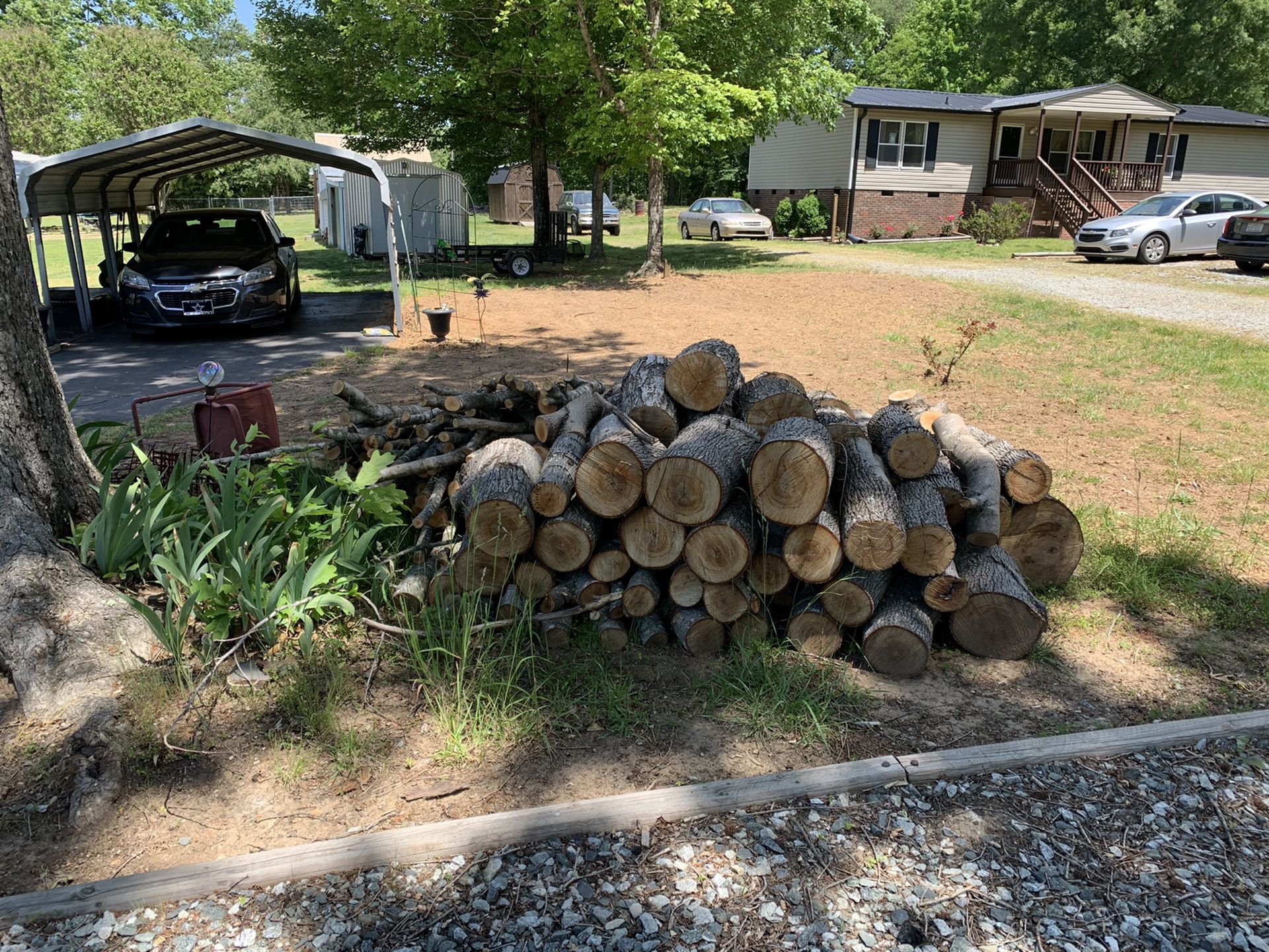 Free firewood