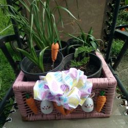 Plant/ Flower Gift Basket Bundle 