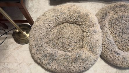 Two large dog beds