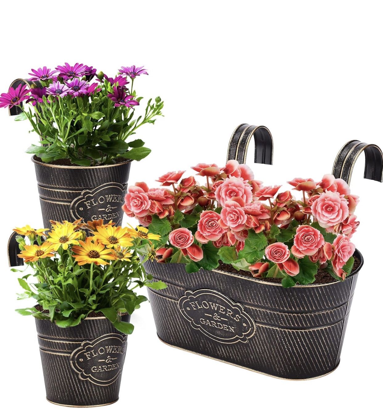 3PCS Galvanized Buckets,Vintage Metal Iron Wall Hanging Flower Pots,Farmhouse Metal Flower Vase,Herb Flower Plant Holder with Detachable Hook