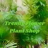 Trendy Flower Plant Shop